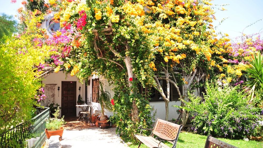 לינה וארוחת בוקר לאגוּ‏ש Uma Casa A Beira Sol מראה חיצוני תמונה