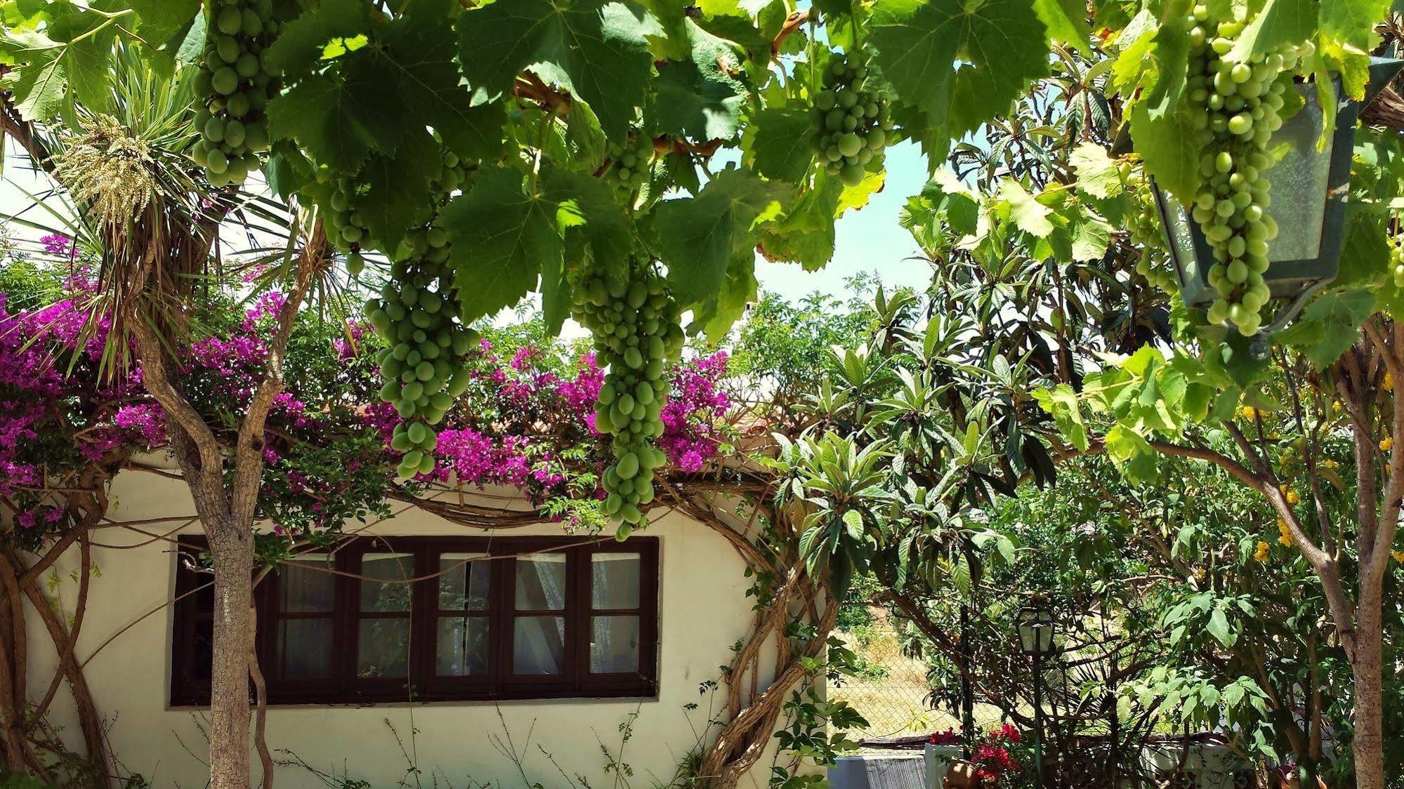 לינה וארוחת בוקר לאגוּ‏ש Uma Casa A Beira Sol מראה חיצוני תמונה