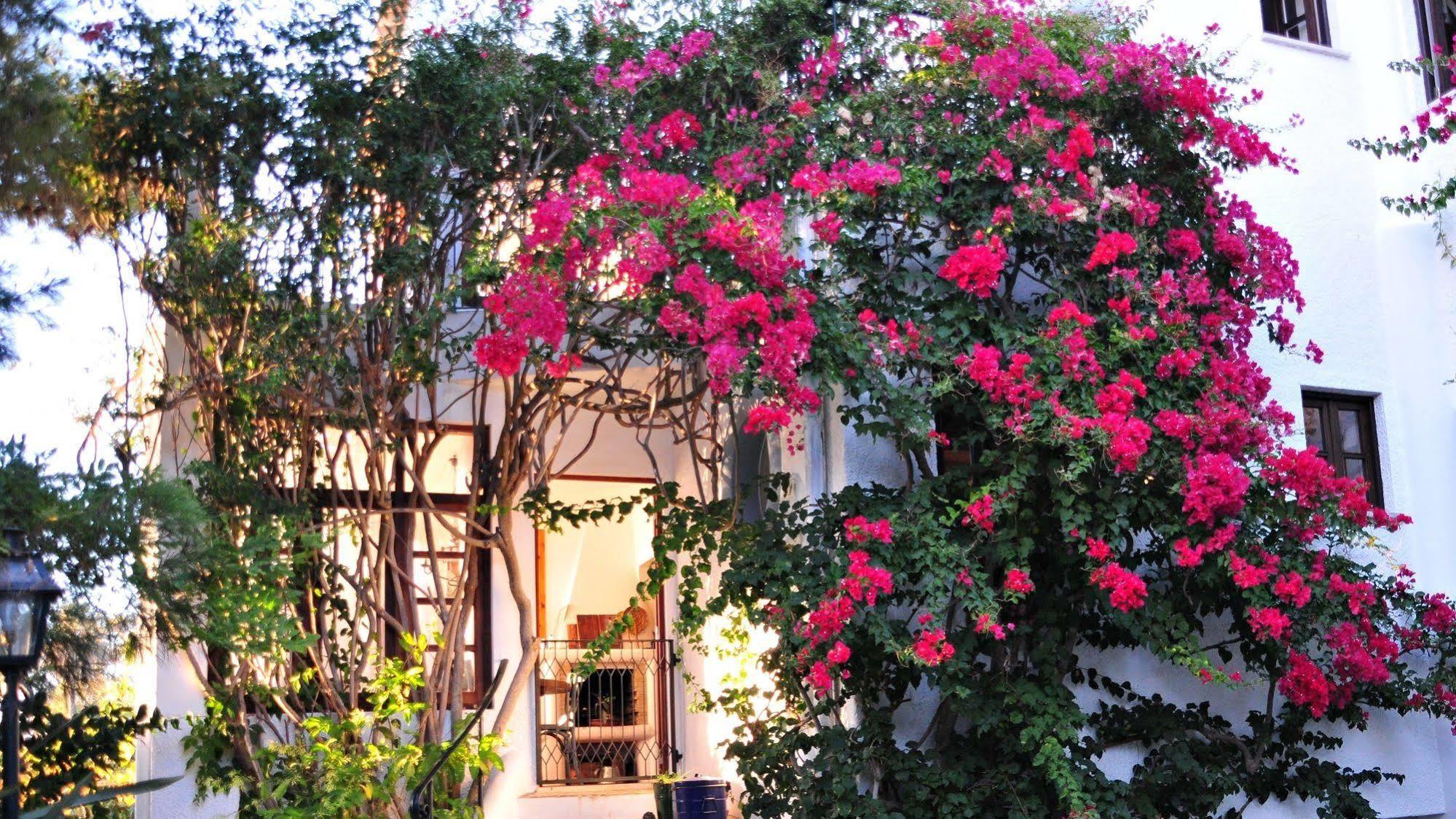 לינה וארוחת בוקר לאגוּ‏ש Uma Casa A Beira Sol מראה חיצוני תמונה